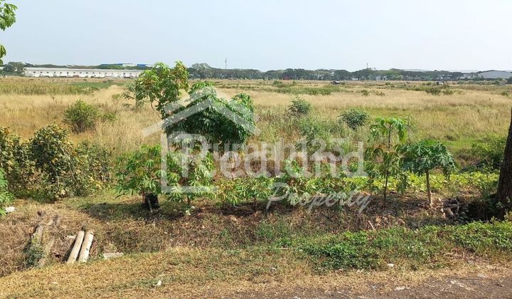 Tanah di Jl Lingkar Kendal ( Si 8638 )