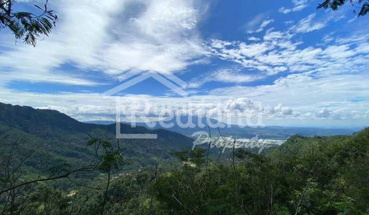 Tanah View Cocok untuk Resort di Sepakung, Banyubiru (Si 8664) 1