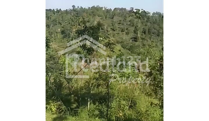 Tanah di Sukoharjo , Kendal ( Si 8493 )