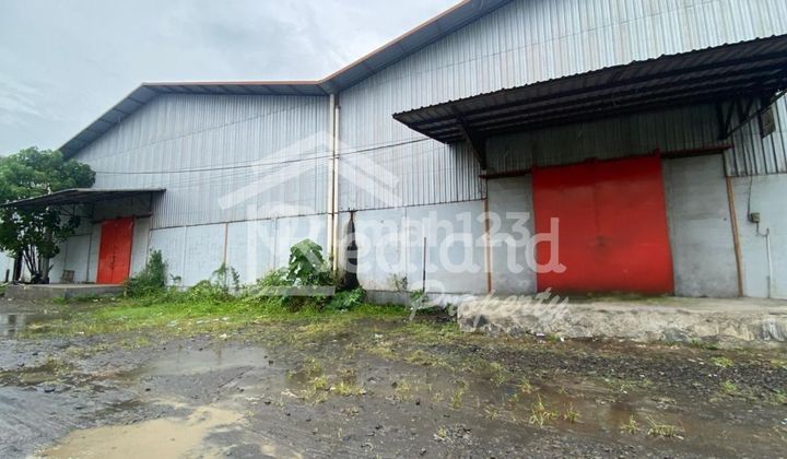 Warehouse on Jl Raya Pemalang Pekalongan (Tt Si 8431)