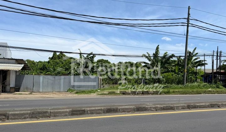 Tanah di Jl Raya Sepacar Timur , Tirto Pekalongan ( Jo Si 8472 ) Tanah di Jl Raya Sepacar Timur , Tirto Pekalongan ( Jo Si 8472 )