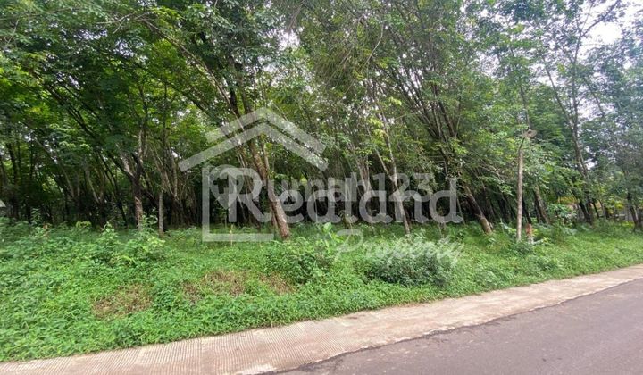 Land in Keteb Banyuoutih, Batang (Si 8372) Land in Keteb Banyuoutih, Batang (Si 8372)