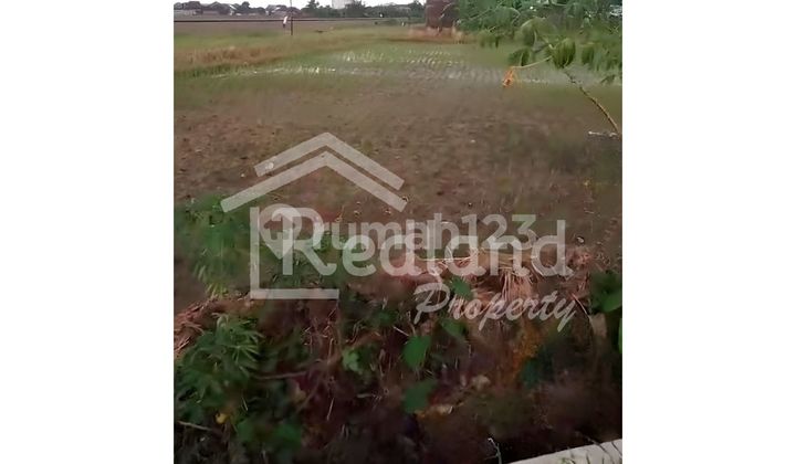 Tanah di Daerah Pulosari , Karanganyar ( Jo Si 8454 )