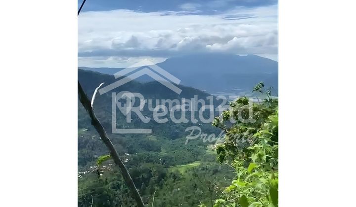 Tanah View Cocok untuk Resort di Sepakung, Banyubiru (Si 8664) 2
