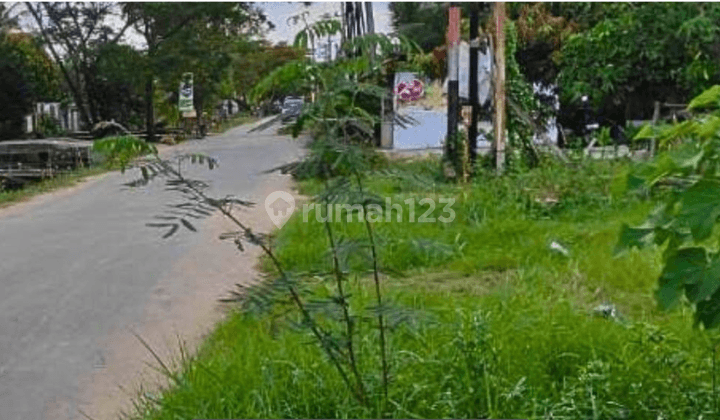 Dijual Tanah Murah Area Sekojo Pinggir Jalan 1