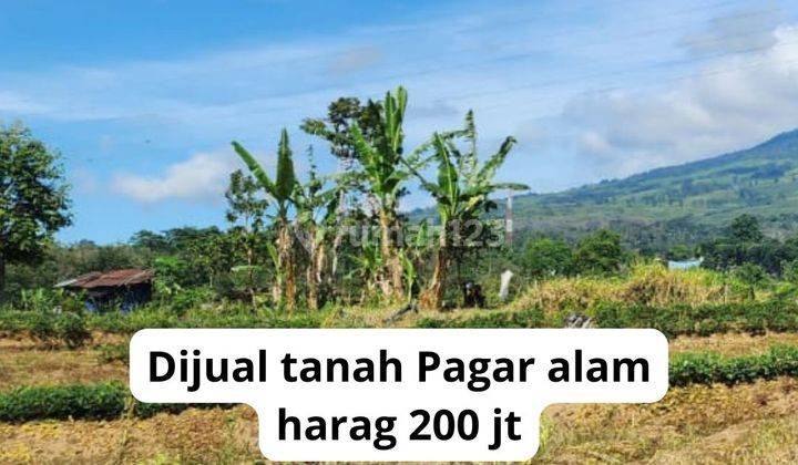 Tanah Pagar Alam Dijual Area Gunung Dempo 1