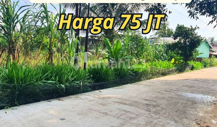 Dijual Tanah Samping SMP 1 Talang Kelapa 1