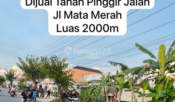 JUAL TANAH PALEMBANG LUAS 2000M MATA MERAH 1
