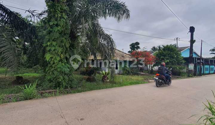 LAND FOR SALE Roadside Near POLTEK UNSRI LAND FOR SALE Roadside Near POLTEK UNSRI