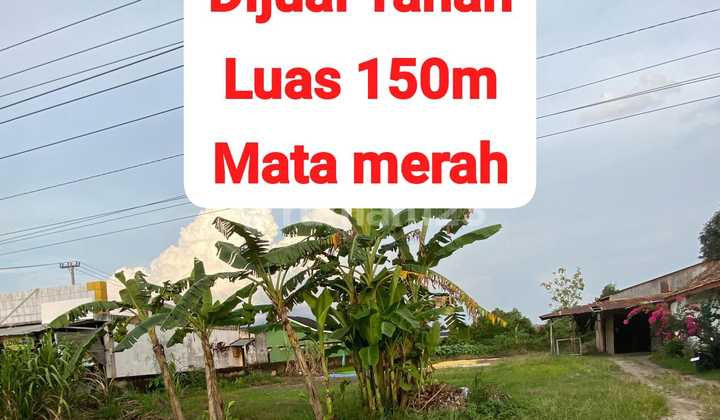 Tanah Murah Palembang Strategis dekat PT Pusri Palembang Tanah Murah Palembang Strategis dekat PT Pusri Palembang