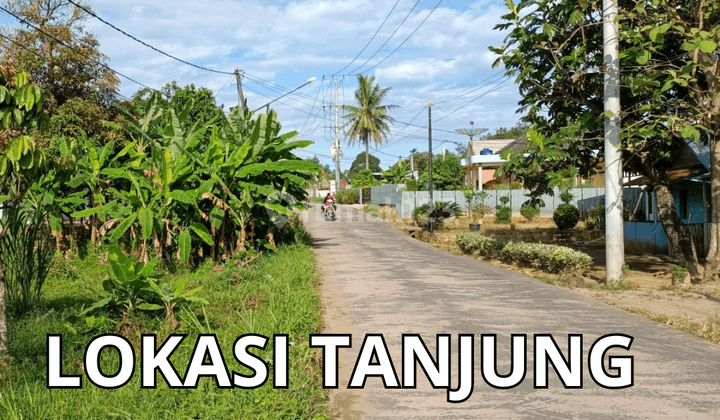 Dijual Tanah 500M Tanjung Barangan Jl Tanjung Sari 2