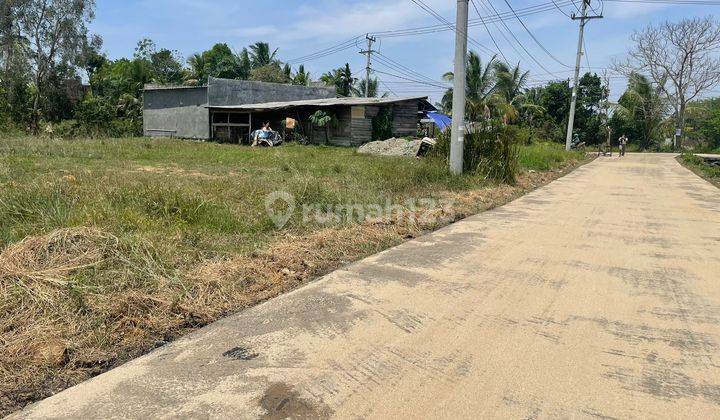 Buruan Tanah Murah di Tanjung Barangan, Cocok Untuk Hunian 2