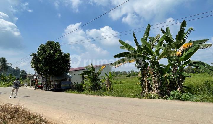 Tanah Pinggir Jalan Talang Jambe dekat Pasar Tanah Pinggir Jalan Talang Jambe dekat Pasar
