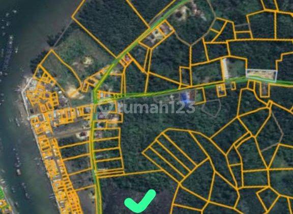 Lahan.dekat Pelabuhan.bungkutoko 3ha Dijual 2
