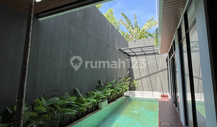 Rumah Tropical Modern Baru Citraland Surabaya Barat Include Pool 2