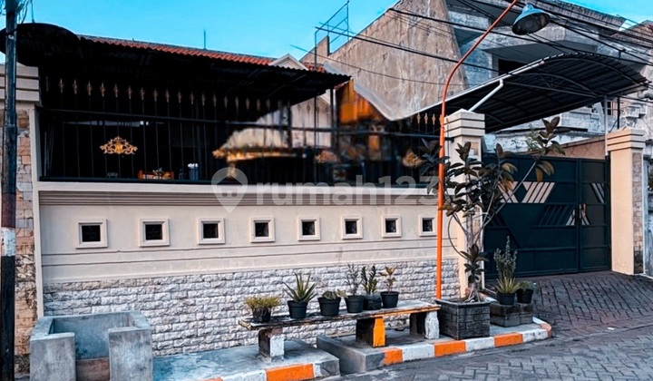 Harga Bu Anjlok! Kupang Baru Ga Sampe 10 Juta!