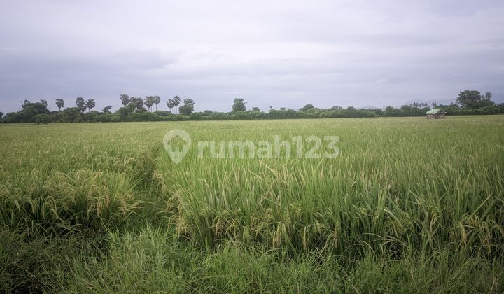 Dijual Cepat Tanah 4 Ha di Huu, Kabupaten Dompu Ntb