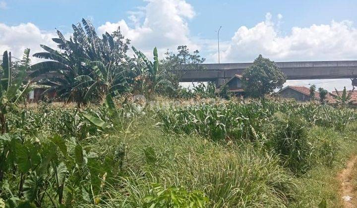 Dijual Tanah Siap Bangun di Kayu Manis Tanah Sereal Bogor  1