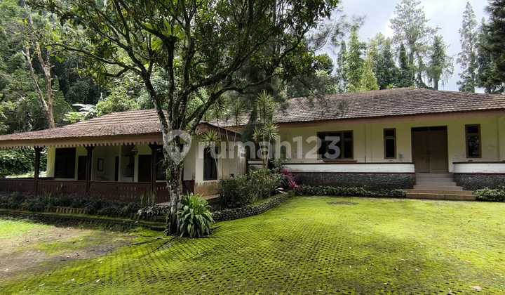 Di Jual Villa di Jalan Taman Safari Cisarua Bogor Di Jual Villa di Jalan Taman Safari Cisarua Bogor