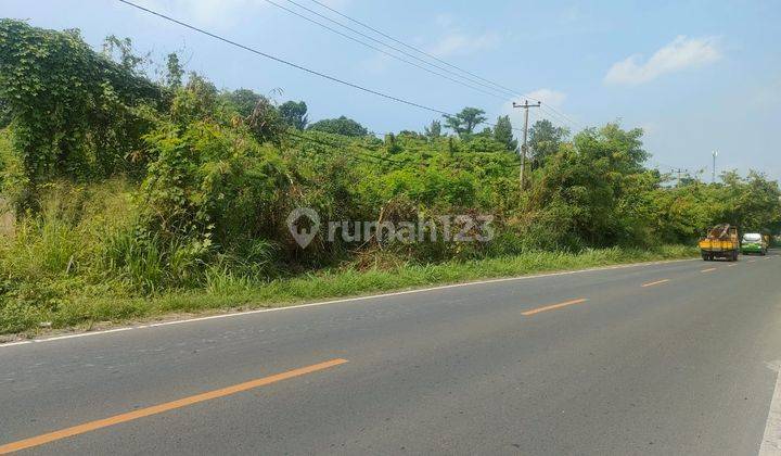 Kavling 1Ha Lokasi Strategis Pinggir Jalan Raya di Serang 1