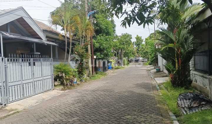 Suitable for Family / Office / Student Boarding House in Premium Location Rungkut Mapan - East Surabaya 2