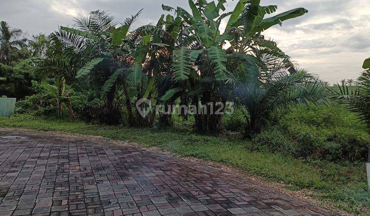 Rare Items Greenlot Munggu Bali Riverfront Lot 855m2 Cheap Freehold 2