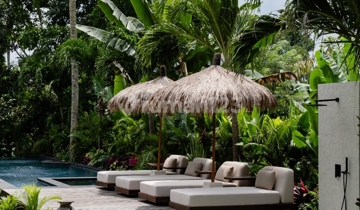 Luxury Jungle View Villa Tegallalang Ubud Bali Near Waterfall &amp; Mason Elephant Park