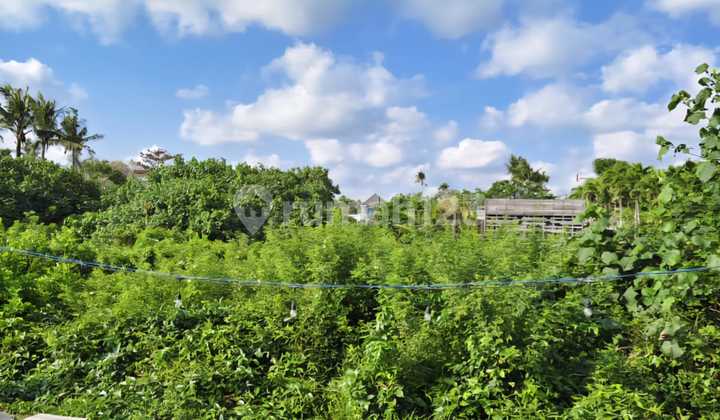 RARE ITEM Beachfront Land Cemagi Bali Amazing Sunset View Freehold 1963m2 Super Premium RARE ITEM Beachfront Land Cemagi Bali Amazing Sunset View Freehold 1963m2 Super Premium