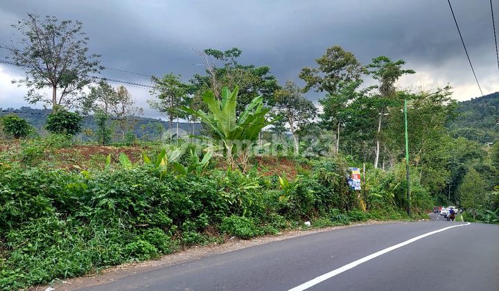 Tanah Murah di Sukorejo Prigen 3700m2 SHM Hanya 700rb/m2 Nol Jalan Menuju Trawas
