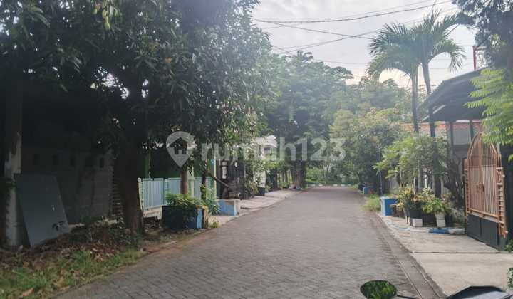 Baruk Barat House - East Surabaya Ideal Land 8 X 15 2
