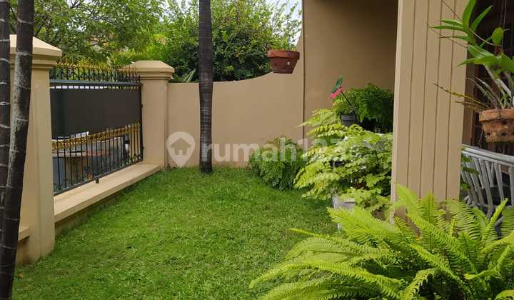 Harga Super B.u - Rumah Besar 2 Lantai Gayungsari Barat Surabaya Harga Drop 600Jt Harga Super B.u - Rumah Besar 2 Lantai Gayungsari Barat Surabaya Harga Drop 600Jt