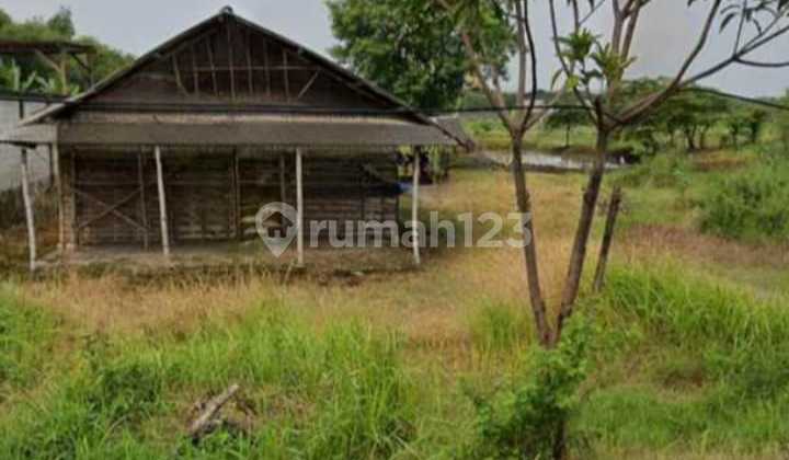 MARKET PRICE ABOVE 1M/M2, THIS IS ONLY SOLD FOR 800K/M2 NEGOTIABLE. Sumengko Village Land, Wringinanom Gresik, SHM 7250m2, Designated for Industrial Use. MARKET PRICE ABOVE 1M/M2, THIS IS ONLY SOLD FOR 800K/M2 NEGOTIABLE. Sumengko Village Land, Wringinanom Gresik, SHM 7250m2, Designated for Industrial Use.