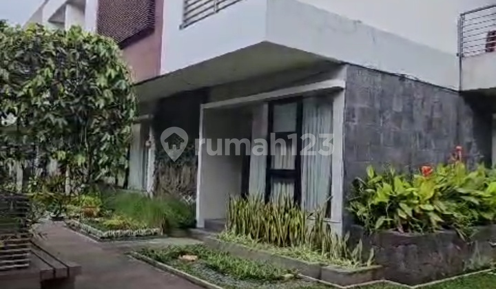 Disewarumah Tinggal Siap Huniarea Maple Town House Pasteurjarang Ada Disewarumah Tinggal Siap Huniarea Maple Town House Pasteurjarang Ada