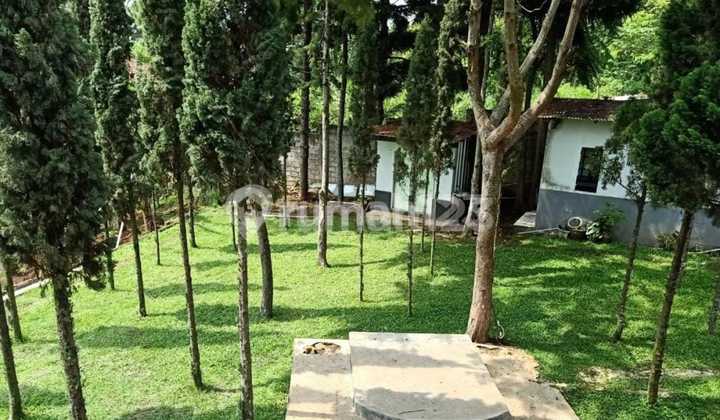 Dijua Tanah dan Bangunan Ex Cafe di Ciumbuleuit Atas, Bandung*Dijual**Tanah dan Bangunan Ex Cafe di Ciumbuleuit Atas, Bandung*Dijual**Tanah dan Bangunan Ex Cafe di Ciumbuleuit Atas, Bandung Dijua Tanah dan Bangunan Ex Cafe di Ciumbuleuit Atas, Bandung*Dijual**Tanah dan Bangunan Ex Cafe di Ciumbuleuit Atas, Bandung*Dijual**Tanah dan Bangunan Ex Cafe di Ciumbuleuit Atas, Bandung