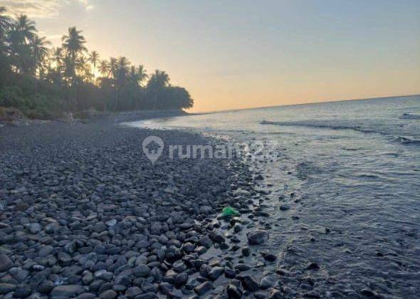 Land Los Pantai, in Tejakula Buleleng SHM 60 m² North Bali 1