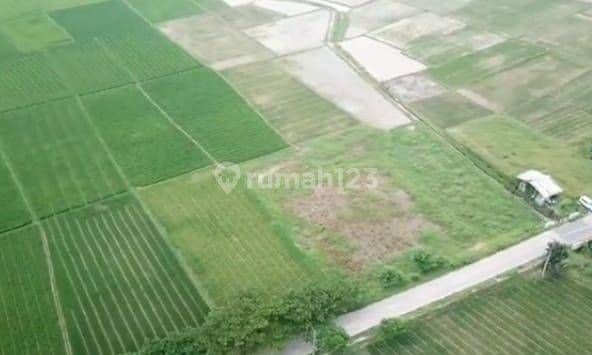 Tanah Bisa Perluasan 11000m2 SHM di Tunjung Teja Serang Banten 2