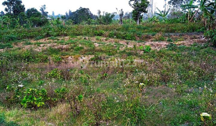 Tanah di Banjar, Munduk Buleleng Bali SHM 10.000 m² View Cantik 2