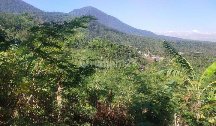 Tanah di Munduk, Buleleng SHM 76 Are View Gunung Perkebunan 1