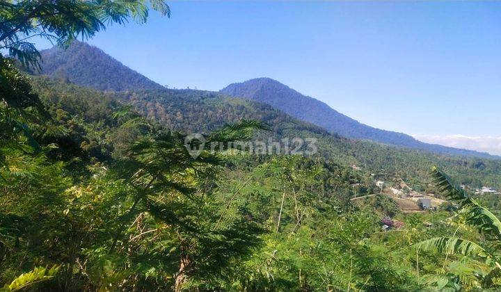 Tanah di Munduk, Buleleng SHM 87,5 Areview Gunung Dan Laut 1