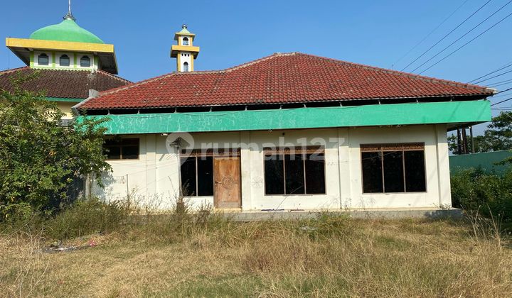 FOR SALE LAND ON THE MAIN COASTAL ROAD (AG)