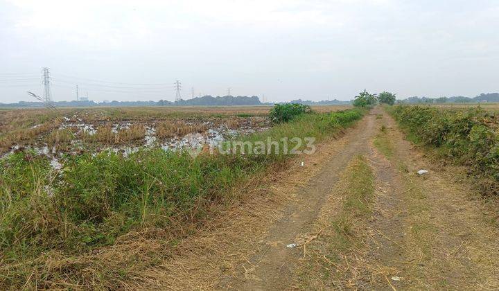 Tanah di Banjarwangunan , Cirebon 30.000 m² 2