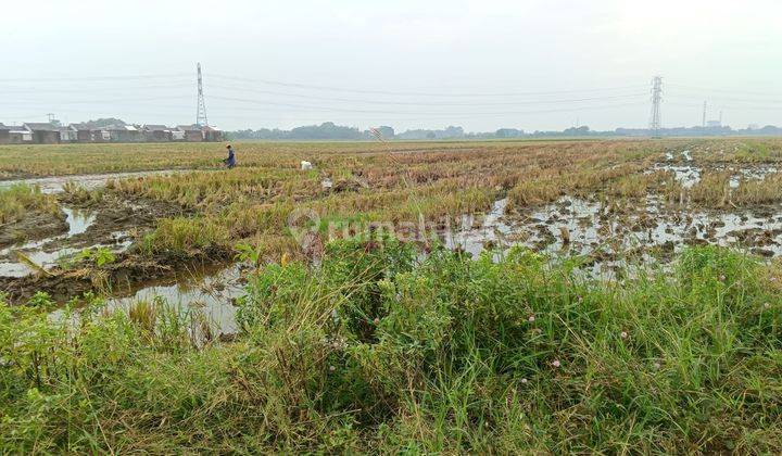 Tanah di Banjarwangunan , Cirebon 30.000 m² 1