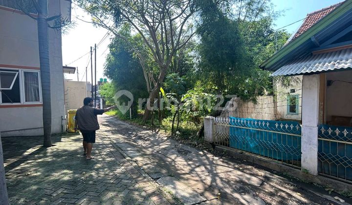 For Sale Building & Land Behind Csb-pg