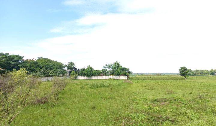 Dijual Tanah di Haurgeulis , Indramayu 2