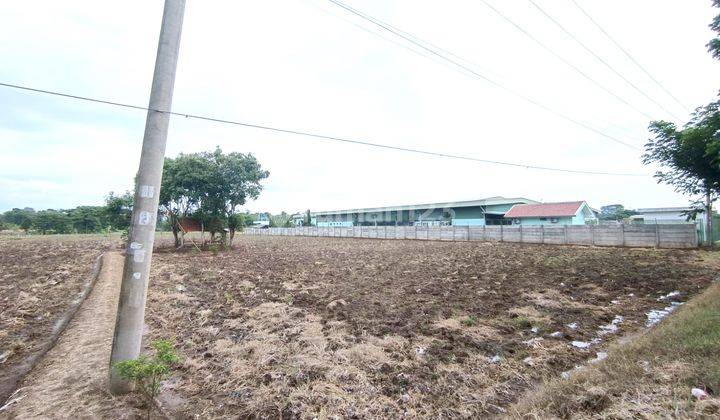 Dijual Tanah di Jalan Raya Lojikobong Kab. Majalengka, Majalengka 2