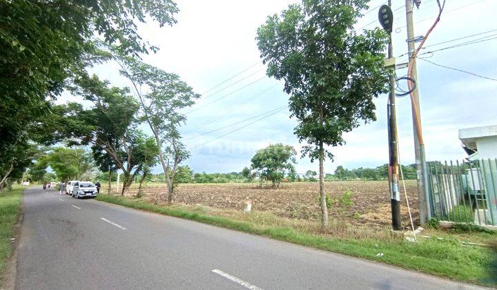 Dijual Tanah di Jalan Raya Lojikobong Kab. Majalengka, Majalengka 2