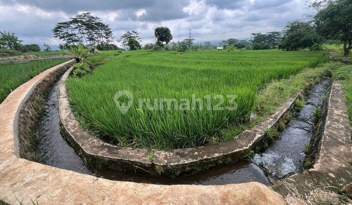 Tanah Cocok Utk Bangun Villa / Cafe-pg Tanah Cocok Utk Bangun Villa / Cafe-pg