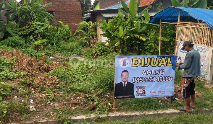 Tanah Dilingkungan Pendidikan Cirebon