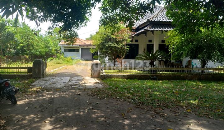 Large House. Spacious Yard. Excess Land (ag). 2