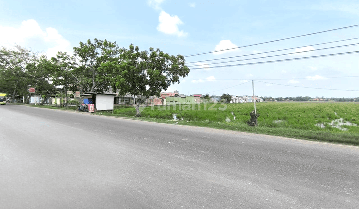 Dijual Tanah di Bangodua Widasari Indramayu, Indramayu 2